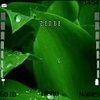 Rain Drops