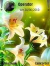 Beautiful Flowers